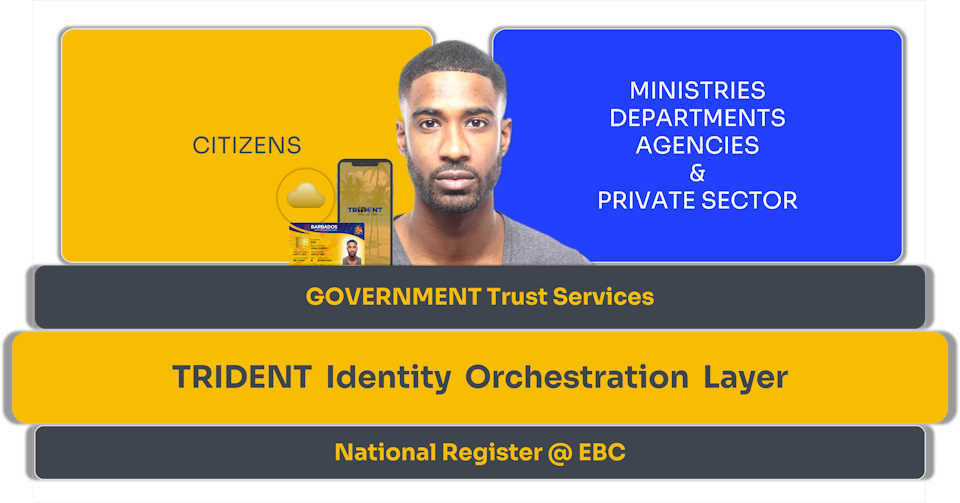 Trident ID Barbados Ecosystem