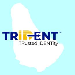 Trident ID Digital Transformation